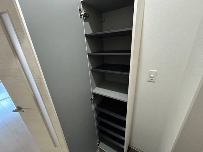 収納 仮）F asecia　dumalis