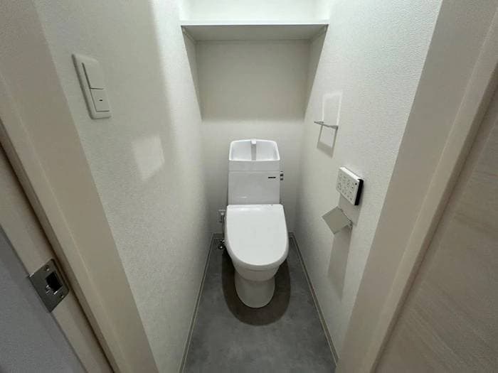 トイレ 仮）F asecia　dumalis