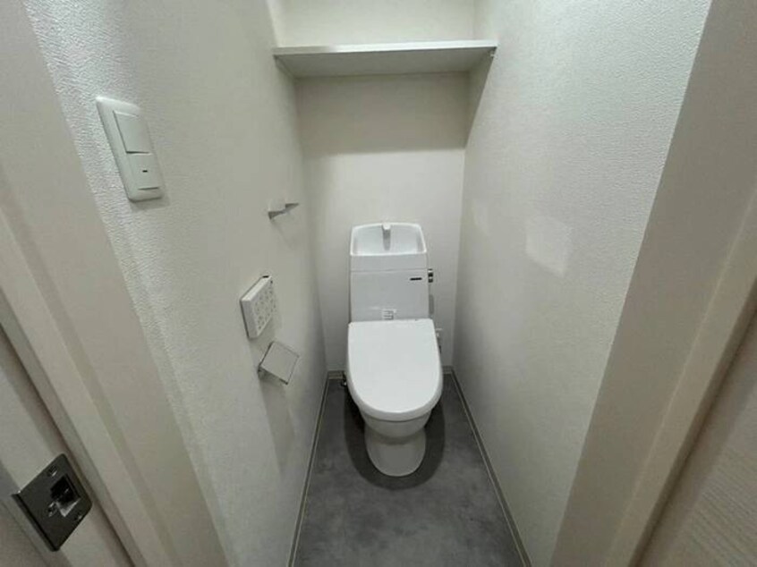 トイレ 仮）F asecia　dumalis