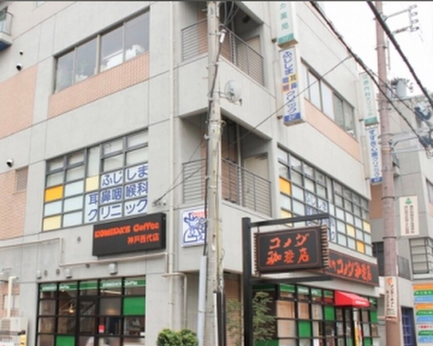 病院(病院)まで52m 仮）F asecia　dumalis