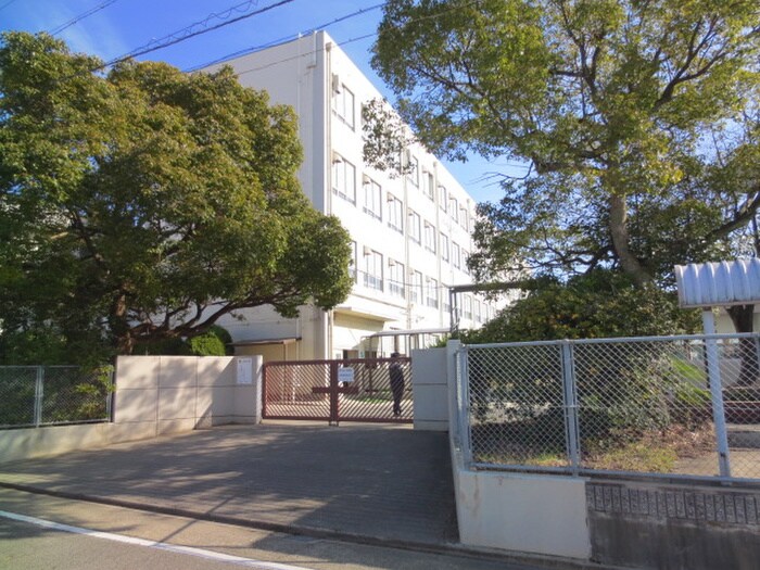 名古屋市立はとり中学校(中学校/中等教育学校)まで1530m クレアール壱番館