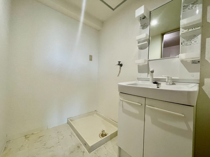 洗面 ルナシャトー白鳥