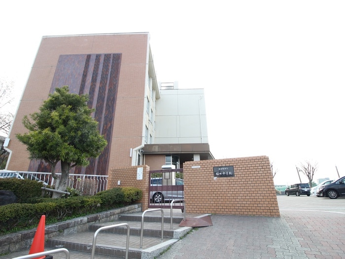 植田中学校(中学校/中等教育学校)まで1060m 晴真マンション