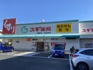 スギ薬局岩塚店(ドラッグストア)まで400m フレ－ル烏森