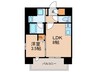プレサンスレイズ金山ｱｸｽ(1101) 1LDKの間取り
