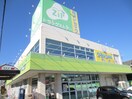 Ｚｉｐドラッグ呼続店(ドラッグストア)まで197m グランメ－ル呼続