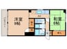 ﾄ-ｶﾝﾏﾝｼｮﾝ星ヶ丘（２１７） 2Kの間取り
