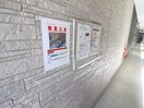 その他 Ｃａｔｈｂｈａｒｒ　車道