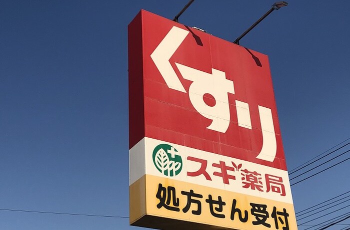 スギ薬局(ドラッグストア)まで258m キャッスル常滑