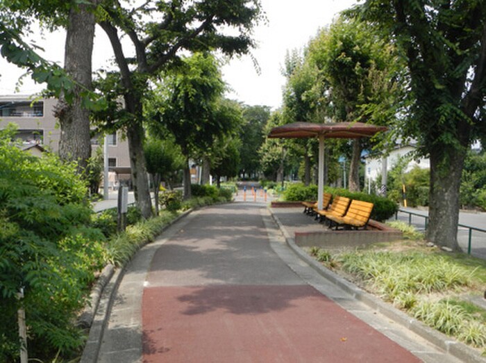 水道路緑道(公園)まで384m デュオハイム