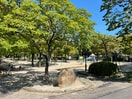 西一社中央公園(公園)まで280m フィ－プル一社