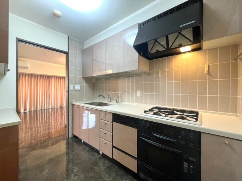 キッチン イトーピア八事雲雀ケ岡(501)