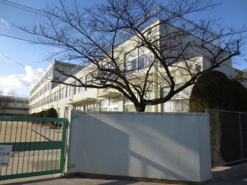 二城小学校(小学校)まで120m 宝大永寺ハイツ（５０７）