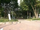 志賀公園(公園)まで180m Ｊａｃｋ　ｋｉｎｊｏ　Ⅰ
