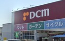 DCM(電気量販店/ホームセンター)まで700m 猫ん家　シャトン黄金