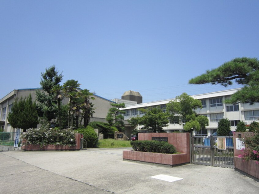 渋川小学校(小学校)まで841m エーデルハイム