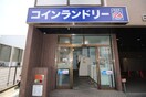 コインランドリー24(ディスカウントショップ)まで190m ダイアパレス新栄