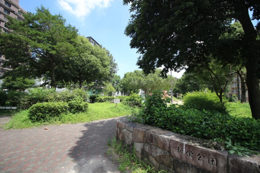 新栄公園(公園)まで200m ダイアパレス新栄
