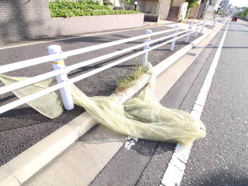 その他 ロイヤル若葉台