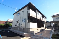 ＴＮ．ｃｏｍ．Ⅱ