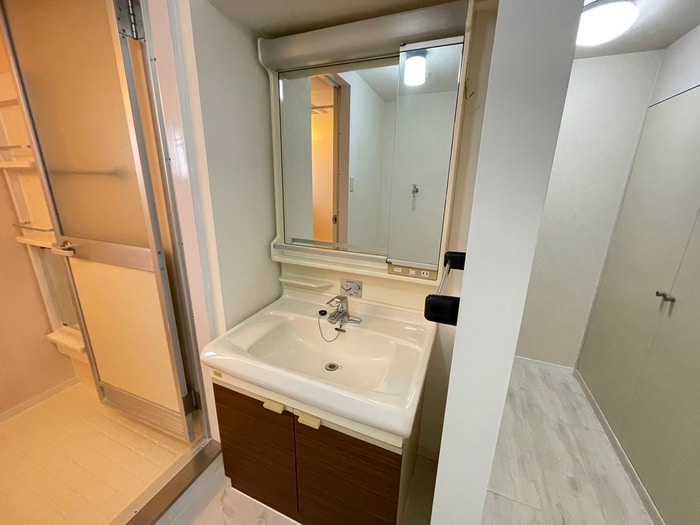 洗面 センチュリーコート宝が丘