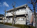 完成写真