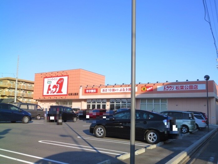 トップワン松葉公園店(スーパー)まで764m サン・ブライト・タナカ