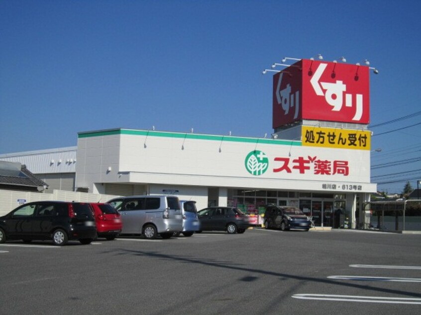 スギ薬局(ドラッグストア)まで820m サンヒルズ松和花壇
