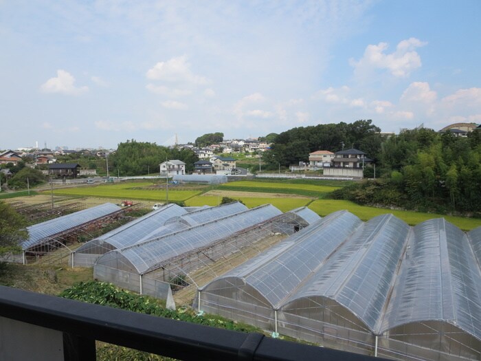 周辺環境 ドミール岩脇Ｃ棟