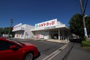 スギドラッグかりがね店(ドラッグストア)まで255m かりがねハイツ