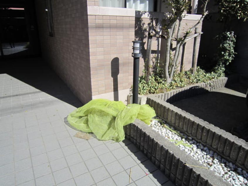 その他 コ－ポオリオン
