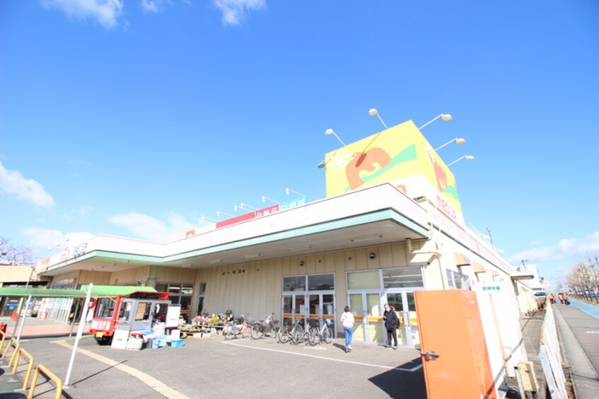 メグリア(スーパー)まで1000m サンシャインヒルズM　B棟
