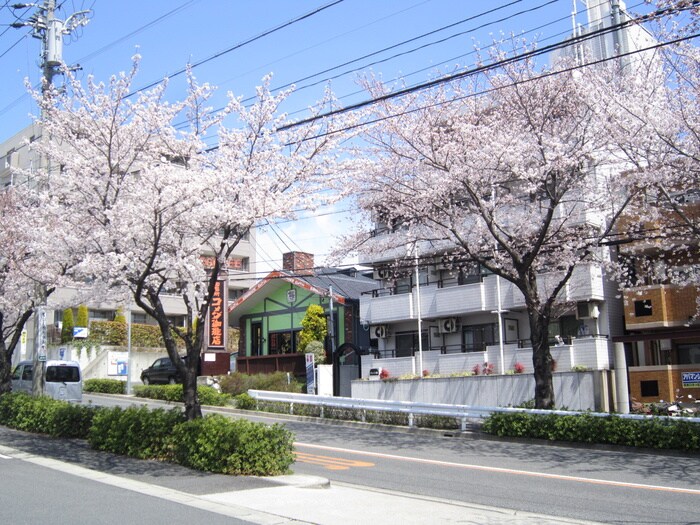 外観写真 グレイス桜