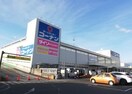 コーナン名古屋北店(電気量販店/ホームセンター)まで190m 北区安井１丁目戸建Ｂ棟