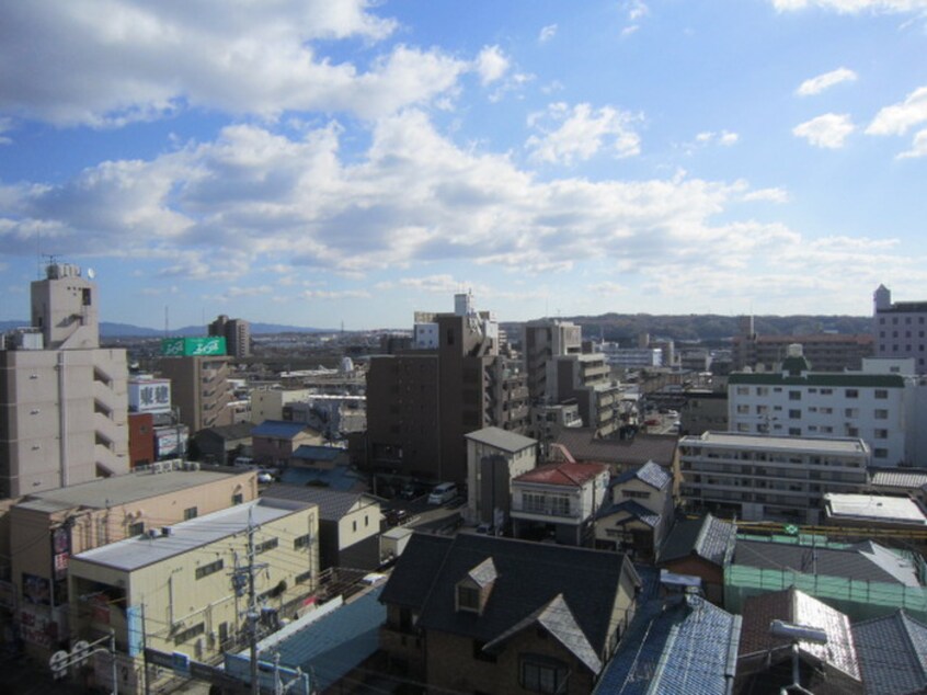 室内からの展望 ファレノプシス