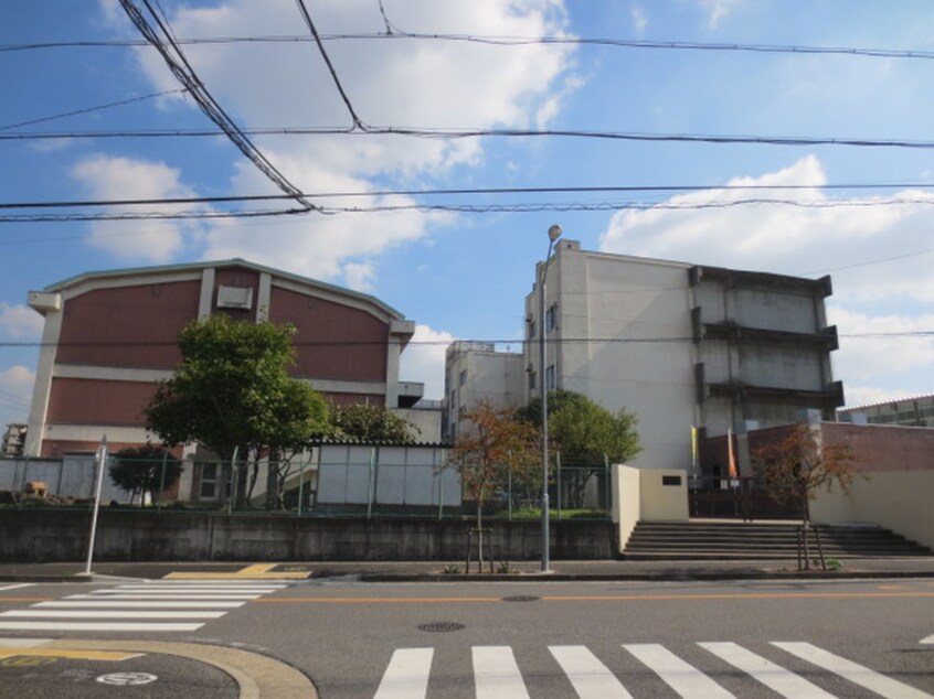 南陵小学校(小学校)まで500m タウンサンロイヤル