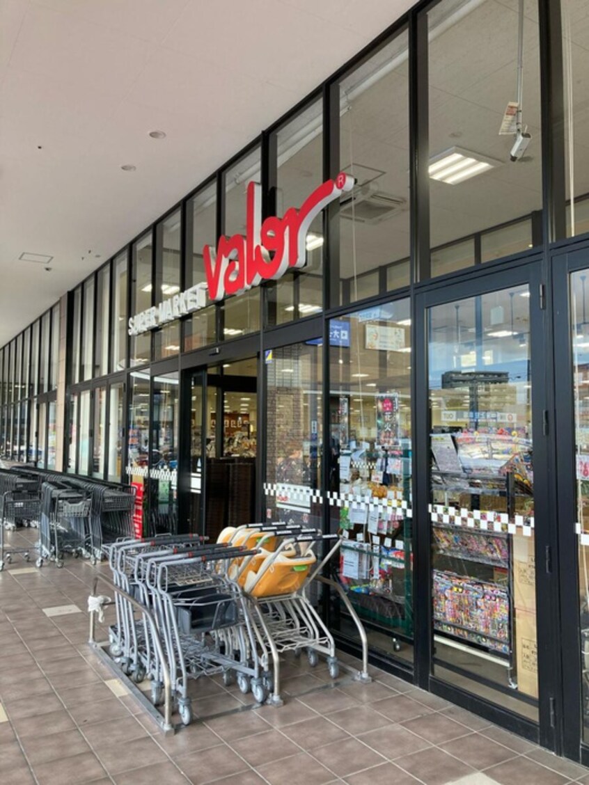 バロー安城日の出店(スーパー)まで1150m ＴＩＥＲＲＡ安城　ＷＥＳＴ