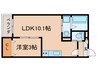 Warren nakashiota Ⅱ 1LDKの間取り