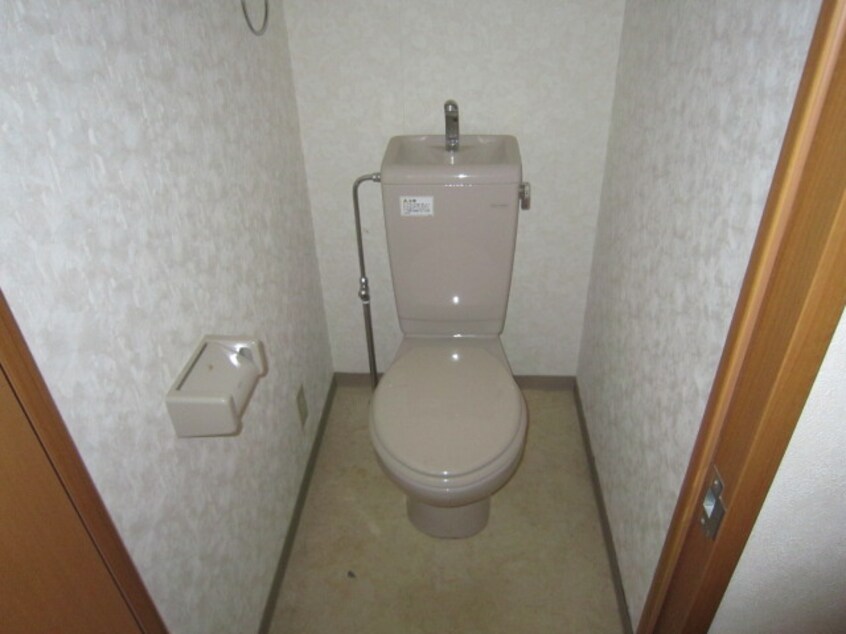 トイレ リベルテ大金