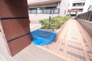 その他 リベルテ大金