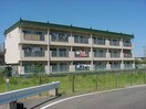 外観写真 green palace OT