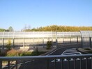 室内からの展望 green palace OT