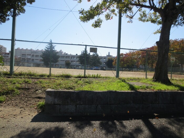 新福寺公園(公園)まで42m メゾンパトラージュ