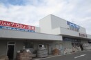 コーナン(電気量販店/ホームセンター)まで1100m リーフィー