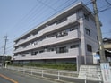 完成写真