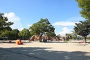 天王川公園(公園)まで300m カトルセゾン