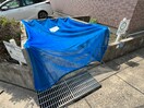 その他 セレニ－ル 香流