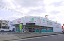 マツヤデンキ猪子石店(電気量販店/ホームセンター)まで350m セレニ－ル 香流