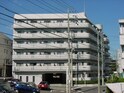 完成写真