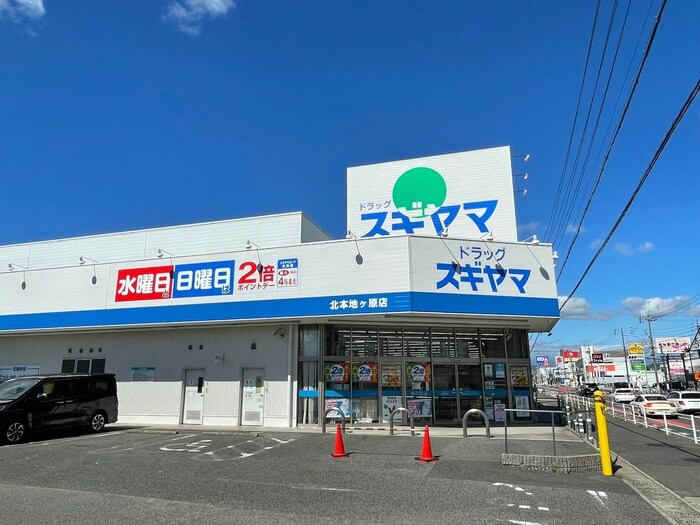 ドラッグスギヤマ北本地ヶ原店(ドラッグストア)まで310m パウゼ　藤が丘